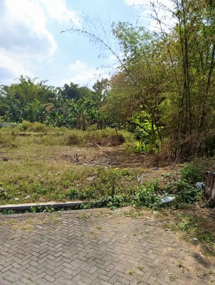 TANAH LUAS 118 JALAN JAWA JEMBER