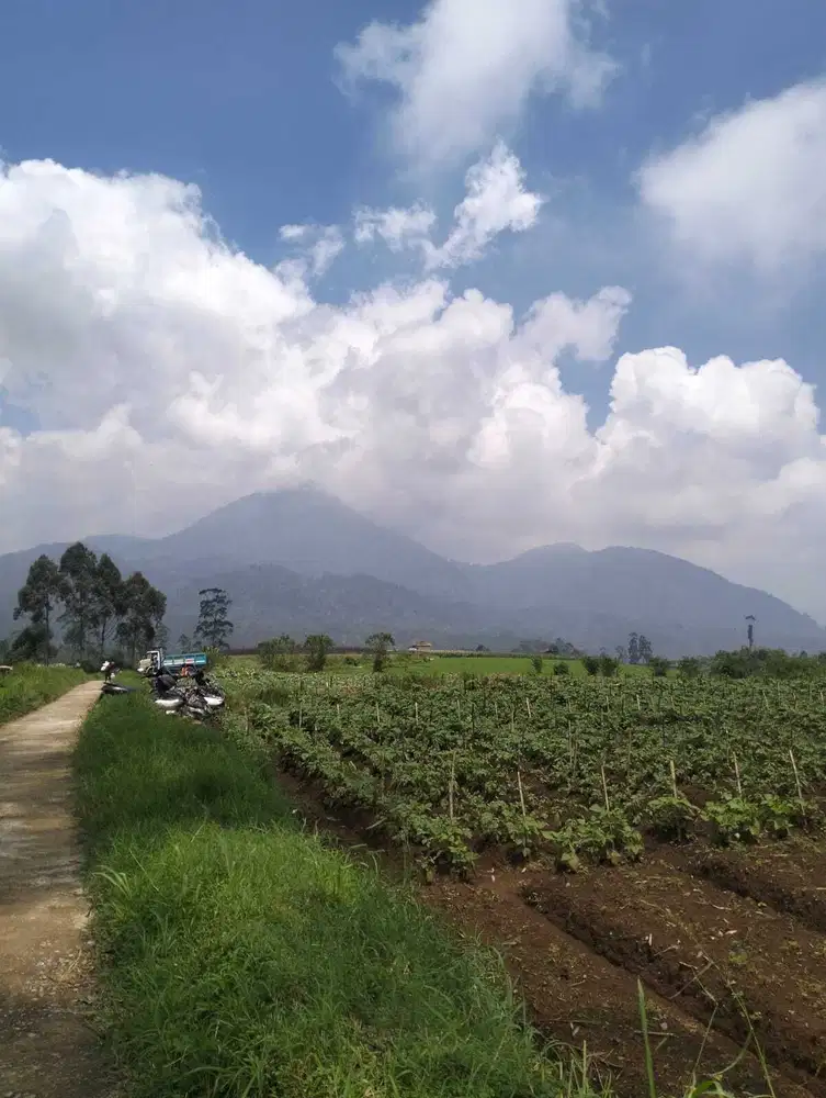 Dijual Tanah Padat Buat Pertanian,Villa View Gunung Tilu Pangalengan