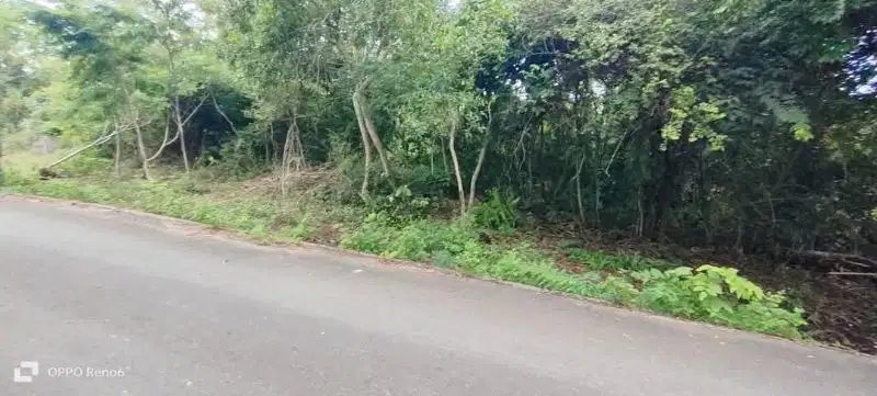 dijual tanah dikutuh Kuta Selatan Badung Bali