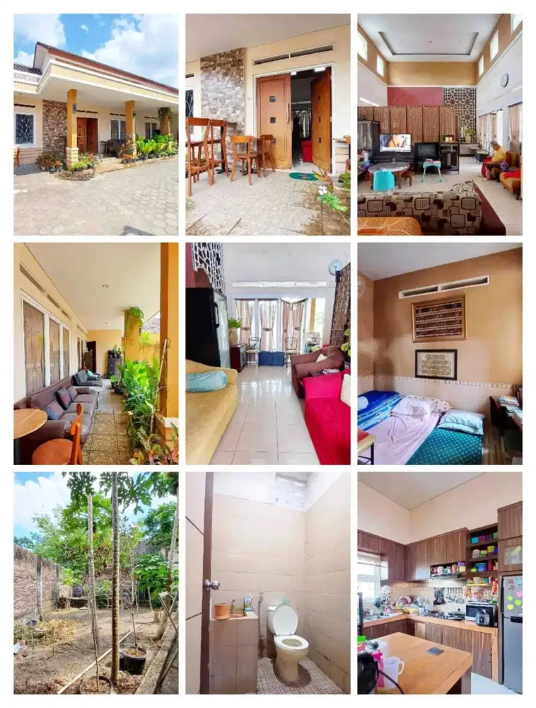 Rumah dengan tanah luas maguoharjo sangat strategeis