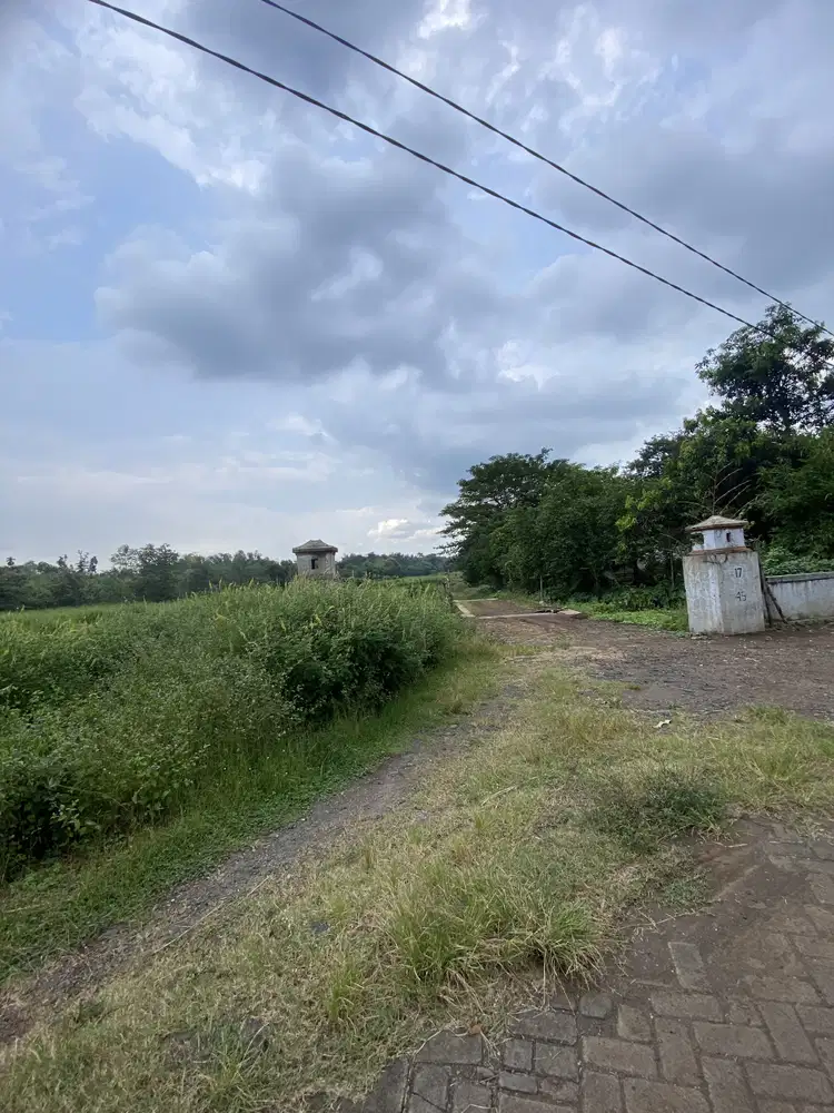 Jual tanah kejayan luas 25h satu pemilik