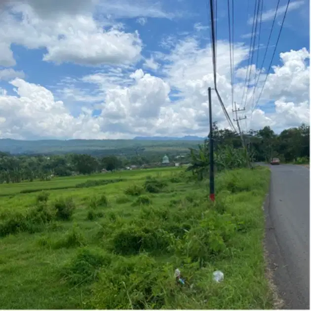 Di jual tanah purwosari pasuruan 5H bisa perluasan 10H