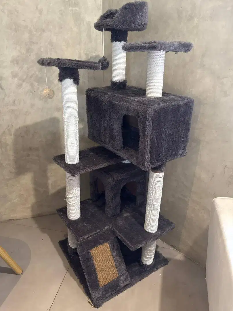 Tiang bermain kucing / Cat tree
