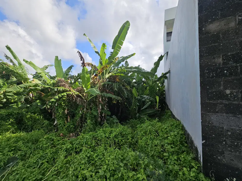 dijual tanah komersil dekat pantai cemagi