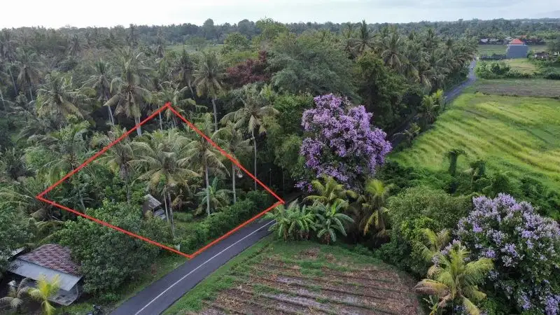 Tanah pantai pasut tabanan