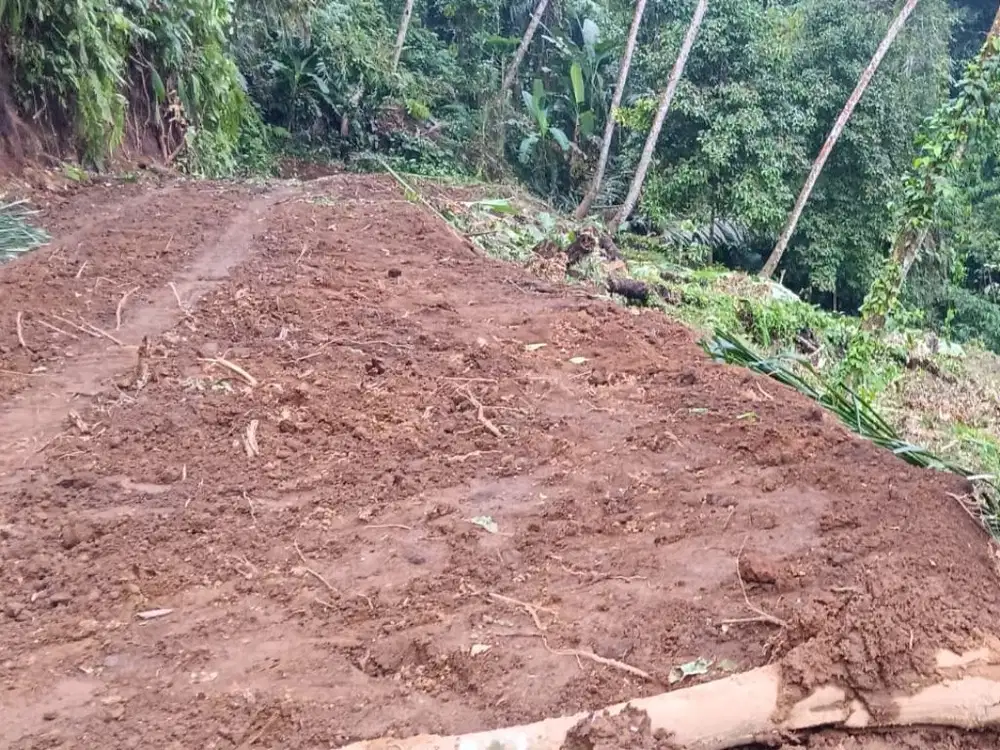 Dijual Tanah Strategis di Ubud, Tegallalang, Gianyar, Bali