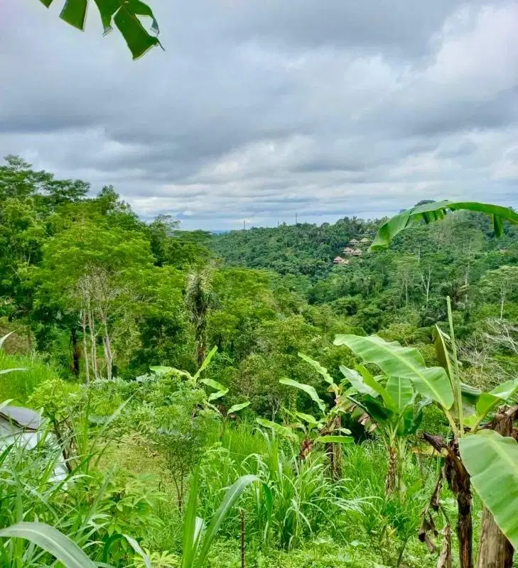 Tanah View lembah Tegallalang ubud
