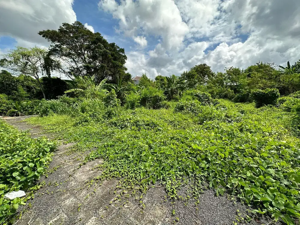 Tanah Premium Denpasar Utara Cargo