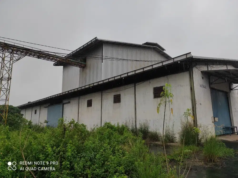 Dijual Pabrik seluas 48.132 m2 di Banyuasin - Sumatra Selatan