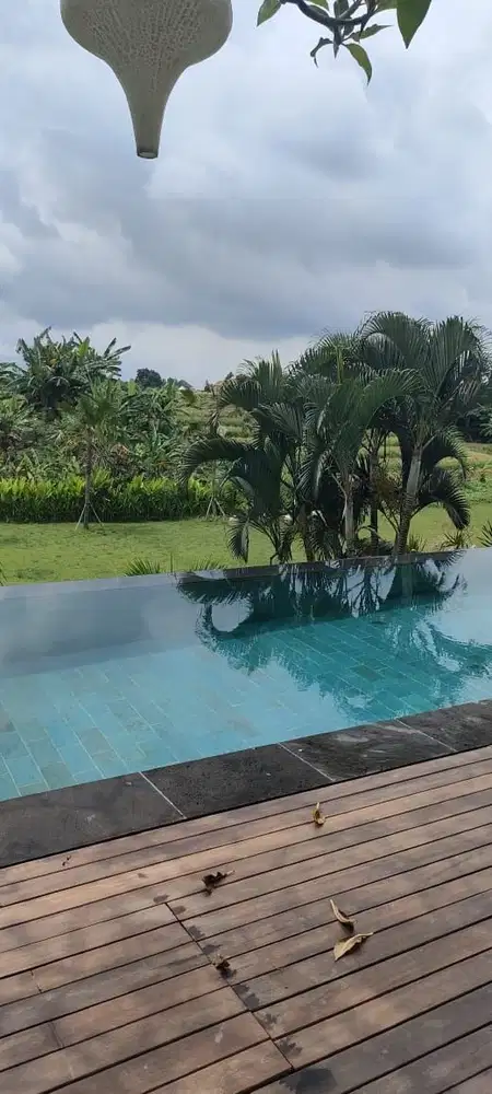 dijual villa view sawah canggu