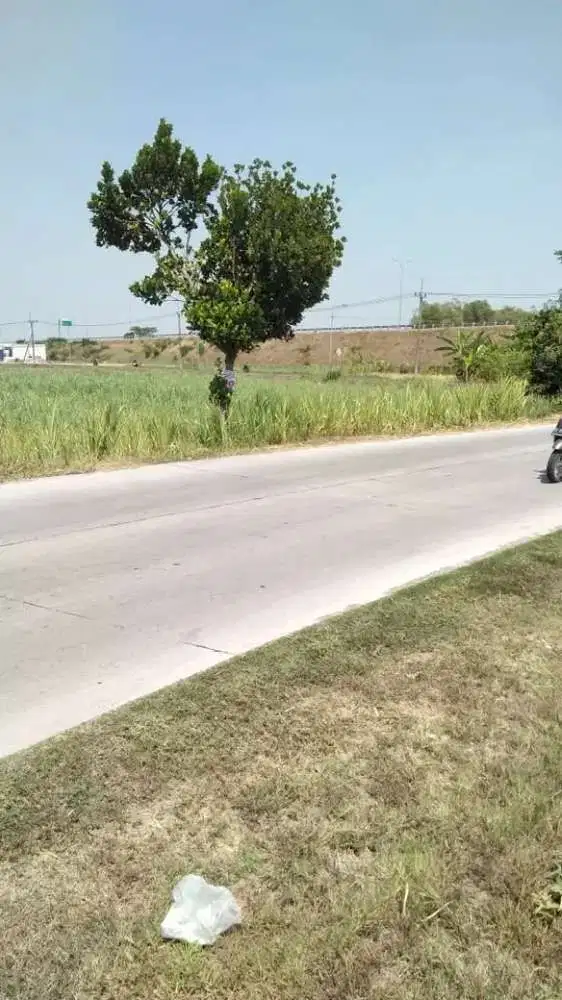 Di jual tanah raya canggu dkat tol