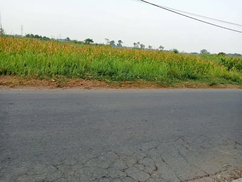 JUAL TANAH HRGA D BAWAH PASAR COCOK  GUDANG ,PABRIK DLL