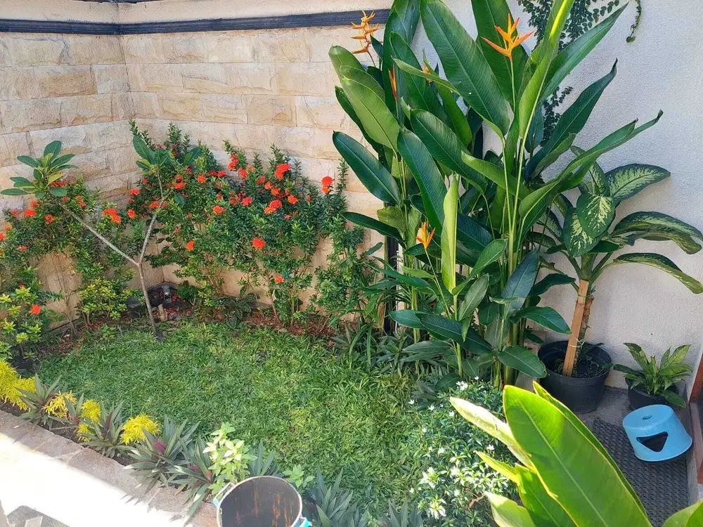 Rumah Semi Villa Canggu