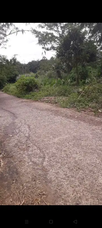 jual tanah di Sukasari rumpin