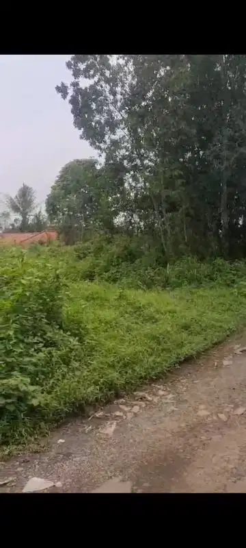 jual tanah di Parung panjang