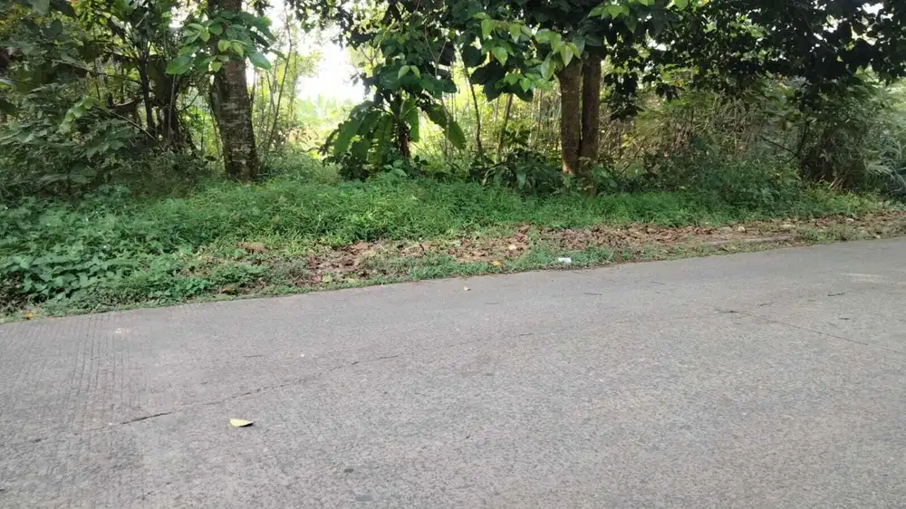 Jual tanah di Cisauk dekat BSD