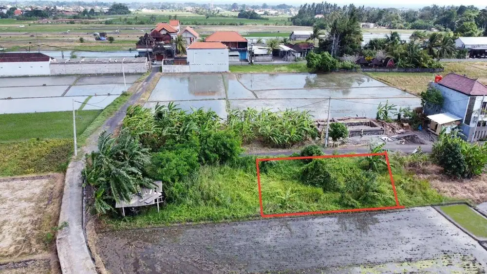 Tanah kedungu tabanan bali