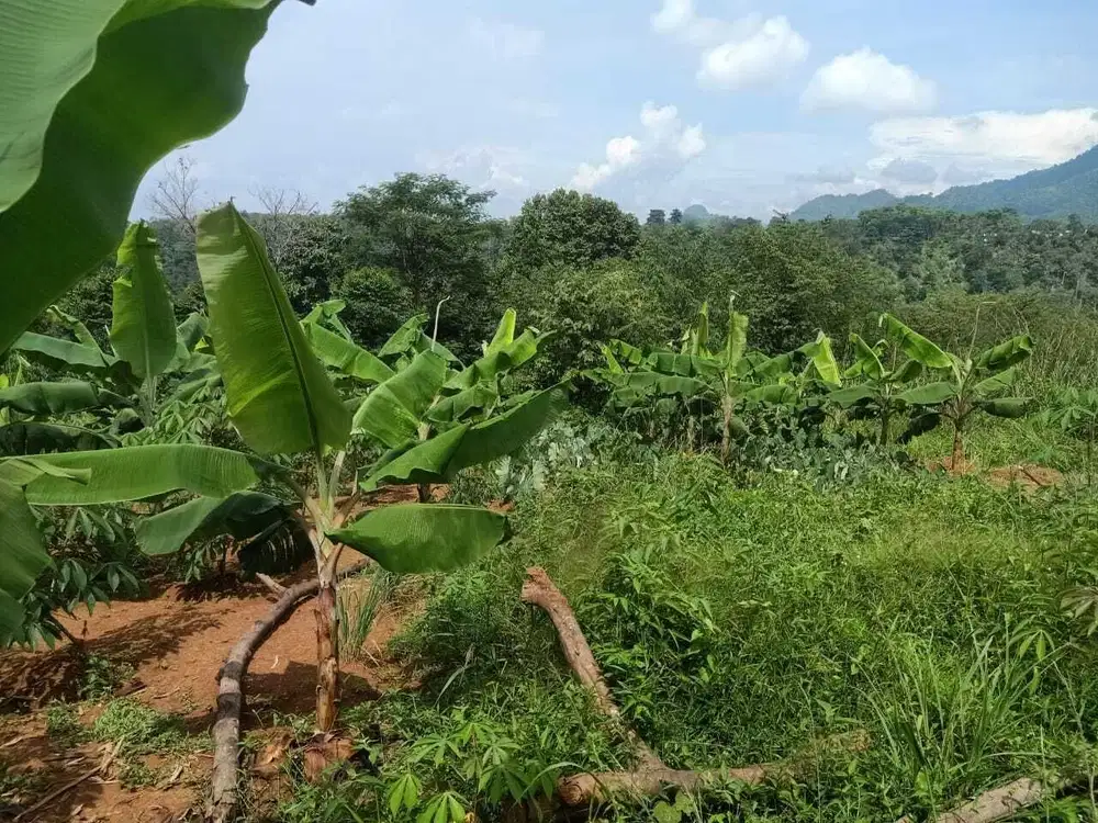 Dijual Cepat Tanah Bagus Lokasi Strategis, Bogor Timur,  Jawa Barat