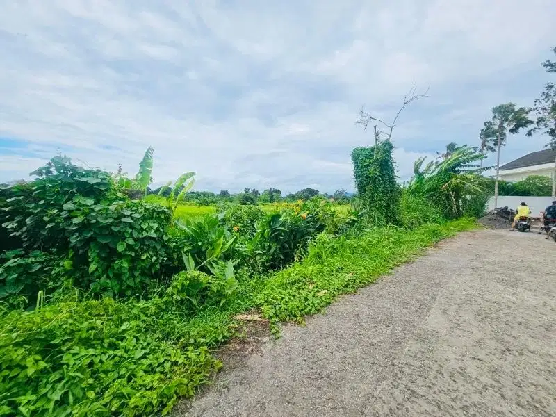 Tanah pantai Kedungu tabanan