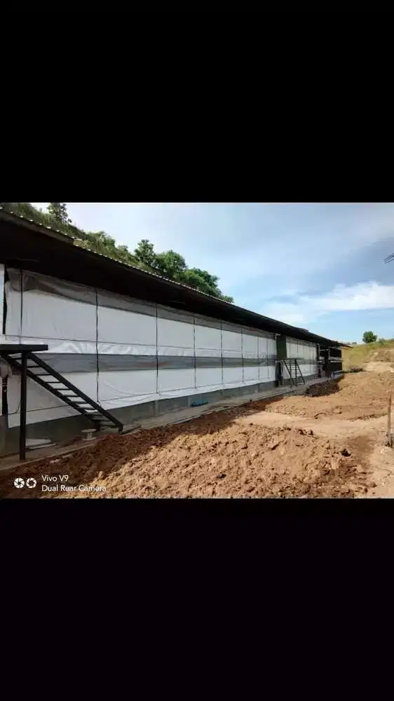 Dijual kandang ayam pedaging  di rabak rumpin