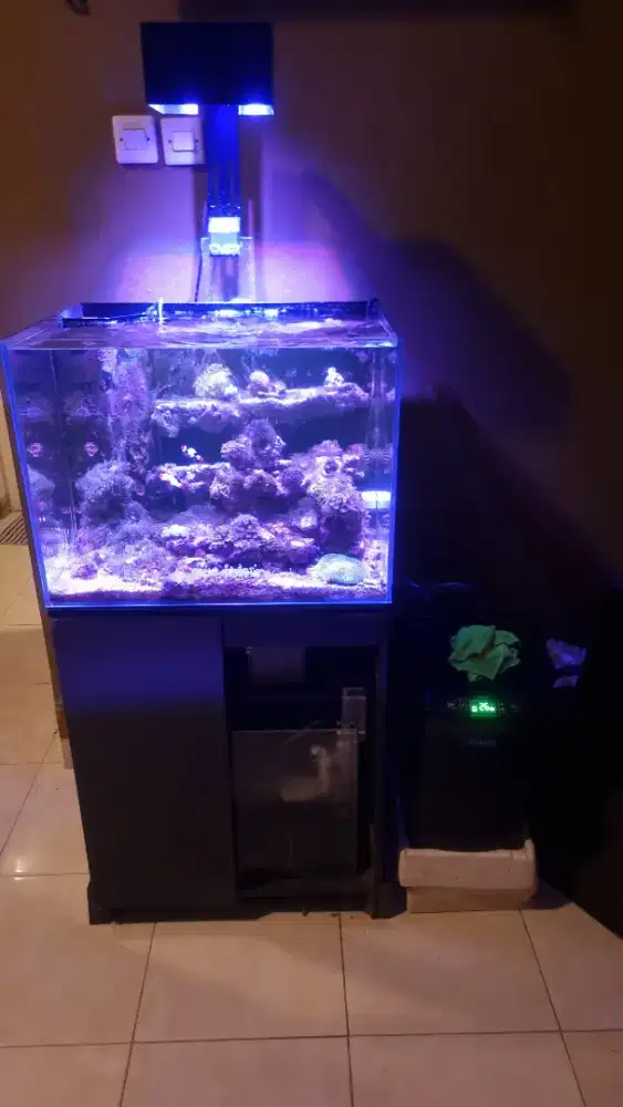 Akurium laut dan aksesoris