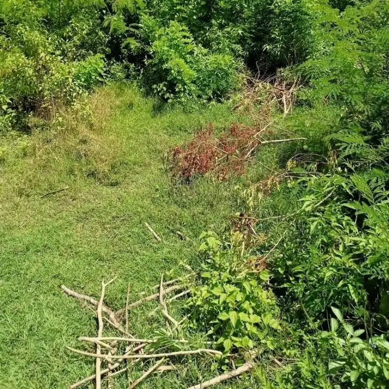 tanah kavling terbaik view gwk nusa dua