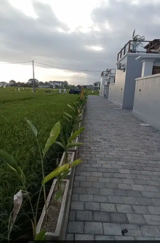 TANAH DISEWAKAN DI DEKAT PANTAI SESEH