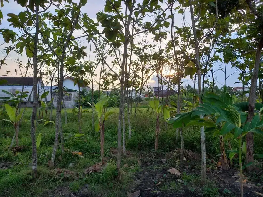 Tanah strategis timur PKU karanganyar