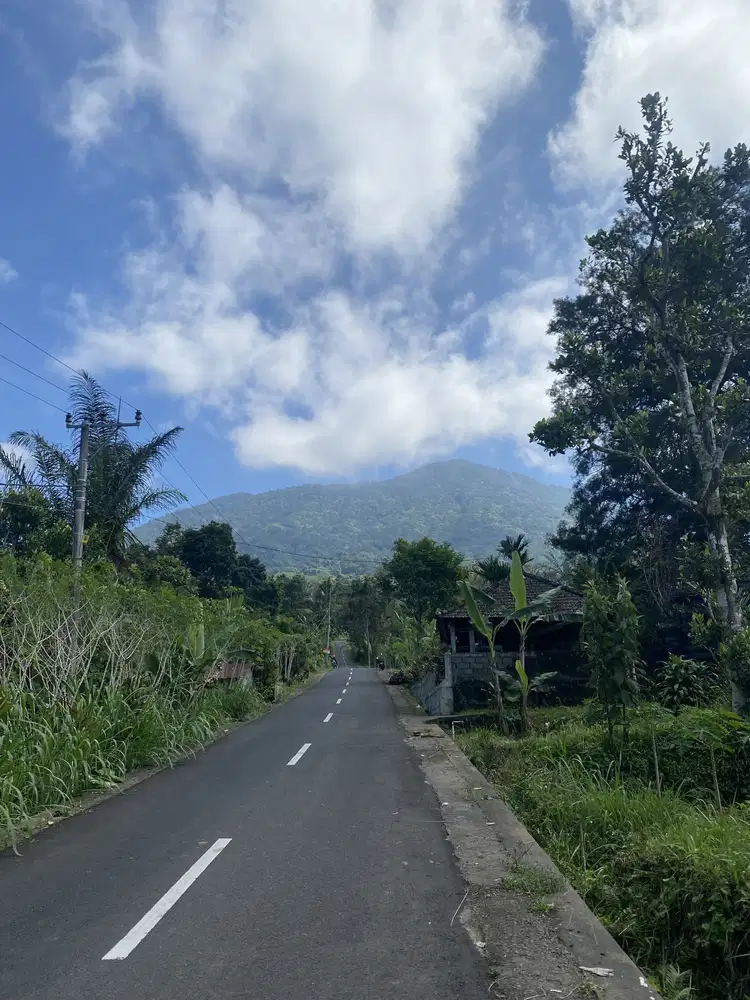 Jual tanah baturiti suhu dingin 1000mdpl