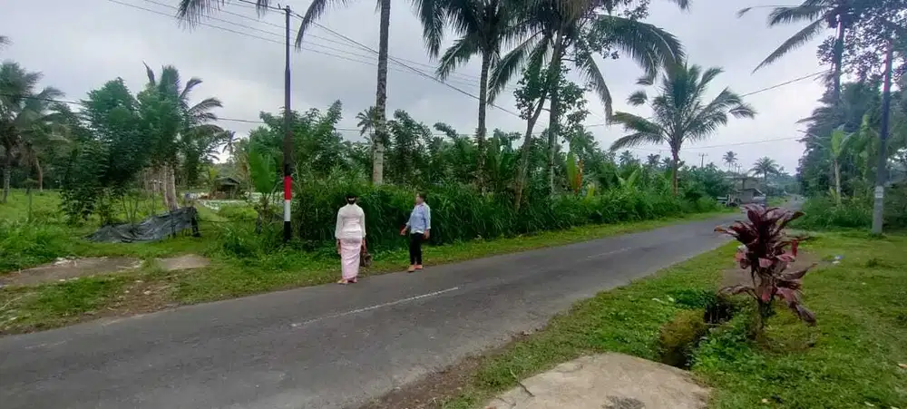 Dijual tanah Ubud taro Payangan