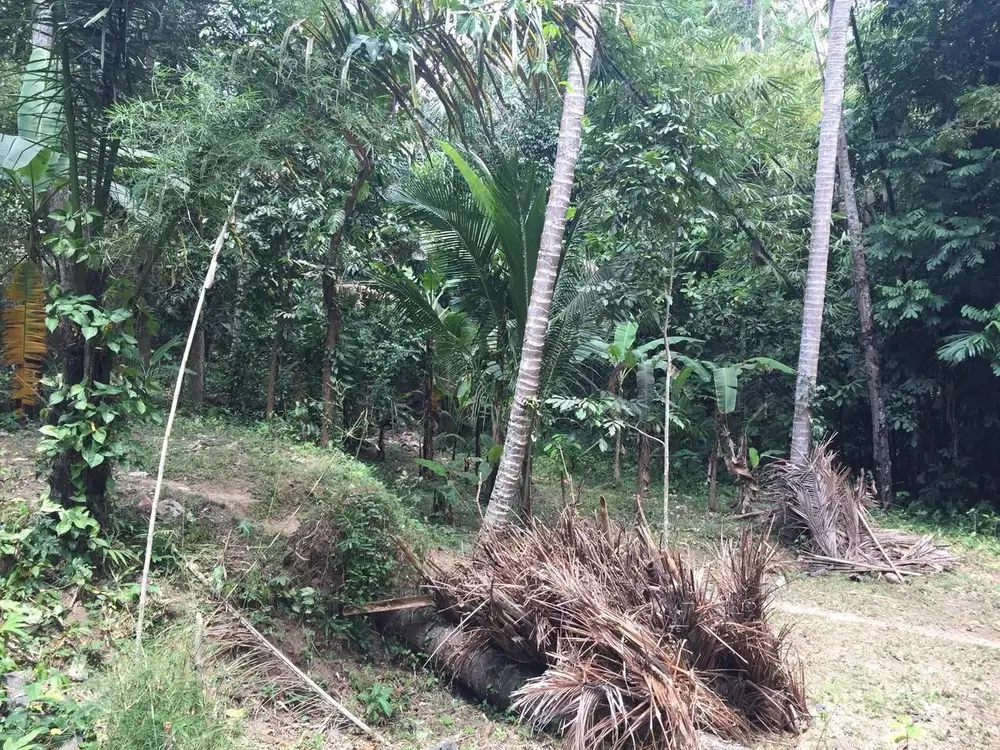 Dijual Tanah Premium View Sungai di Sayan, Ubud