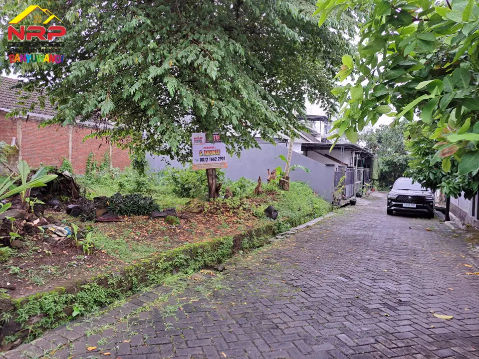 Dijual Tanah termurah di dadapan Banyuwangi