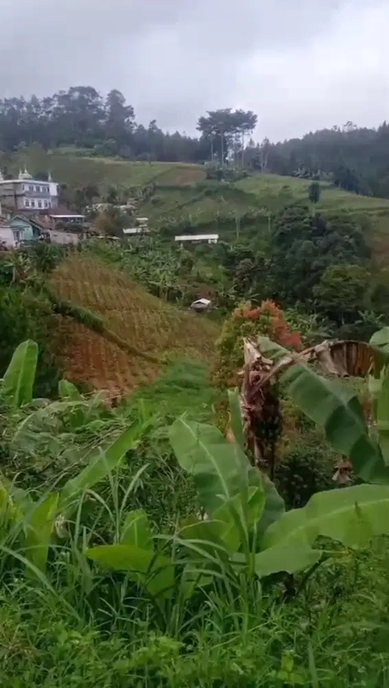 Jual Cepat Tanah 1100m² Cihargem Dago Atas Dekat Tebing Keraton