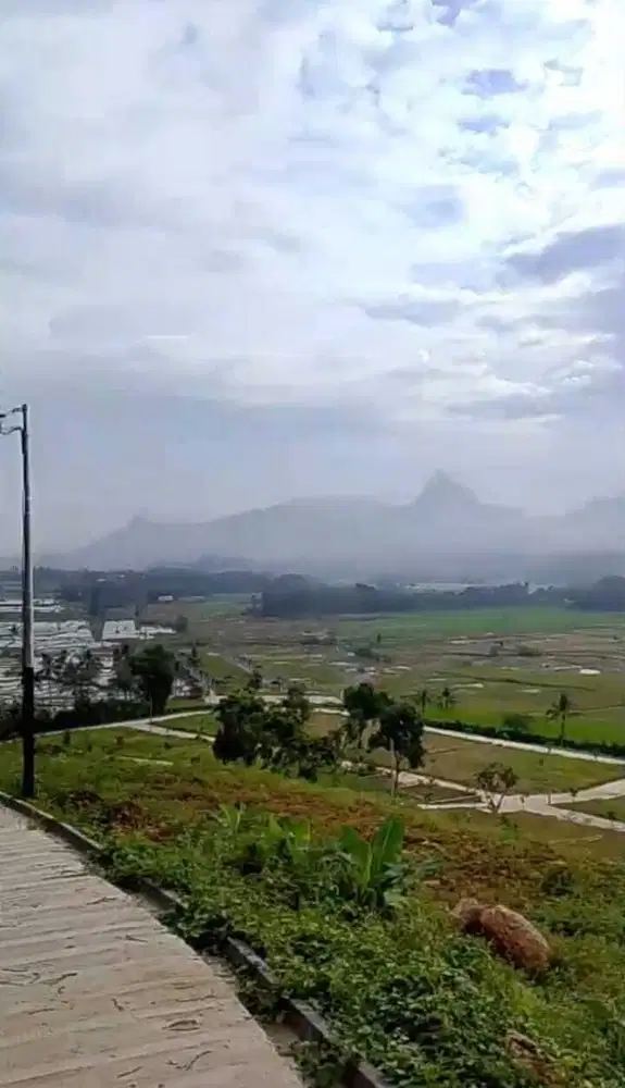 Tanah Kavling Murah Pinggir Jalan Provinsi Jkt Depok Cibubur Bekasi