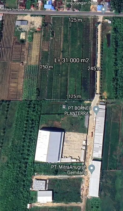 Tanah Pall 9 Sungai kakap Tepi Jalan