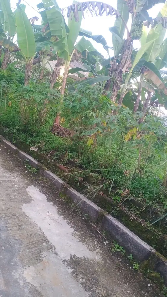 Tanah 50 meteran masuk mobil di sawangan bedahan depok