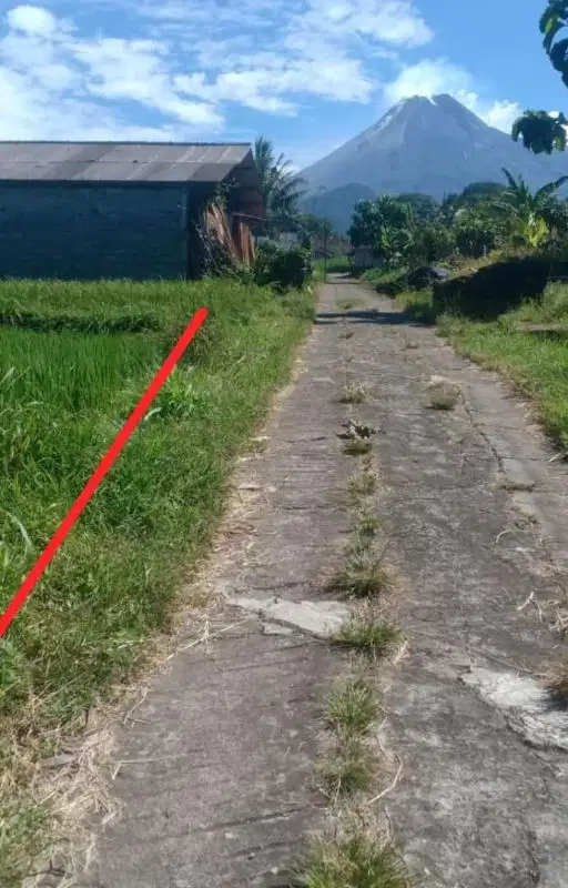 Dijual Tanah Sawah View Gunung Merapi Pakem Sleman