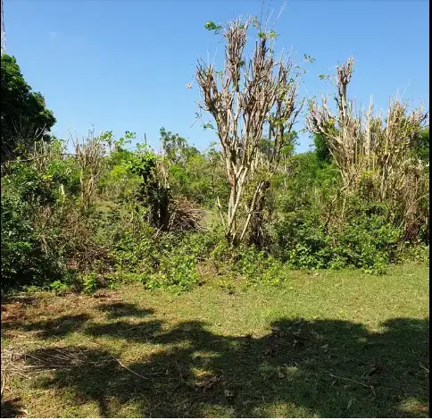 Tanah 67are dkt pantai pandawa kutuh bali