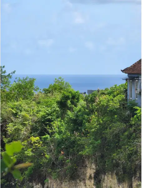 Tanah Murah 1 Hektar Dekat Pantai Ungasan