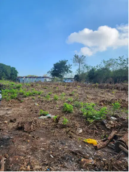 Tanah 46 Are di Kampial