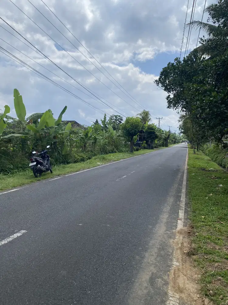 Jual tanah jalan raya penebel tabanan