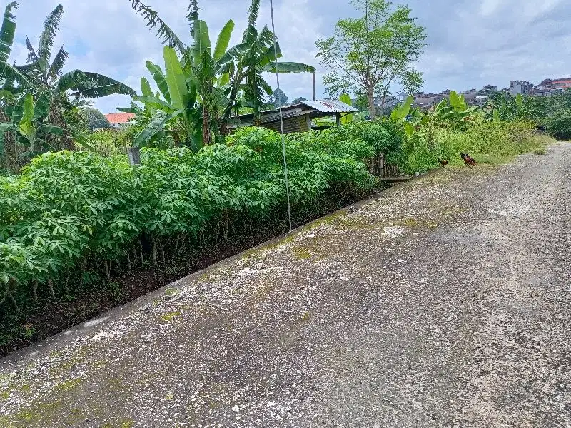 jual tanah Tabanan kota 4are 350jt/are Nego