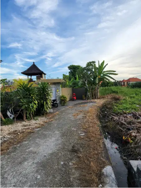 tanah murah 4 are di tibu beneng canggu