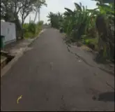 Tanah View Sawah di Tumbak Bayuh