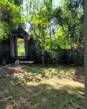 Tanah 93 Are Nempel dgn Hotel LV 8 Berawa Canggu - Thumbnail 3