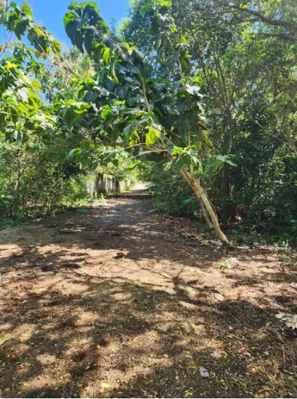 Tanah 50 Are di Pecatu