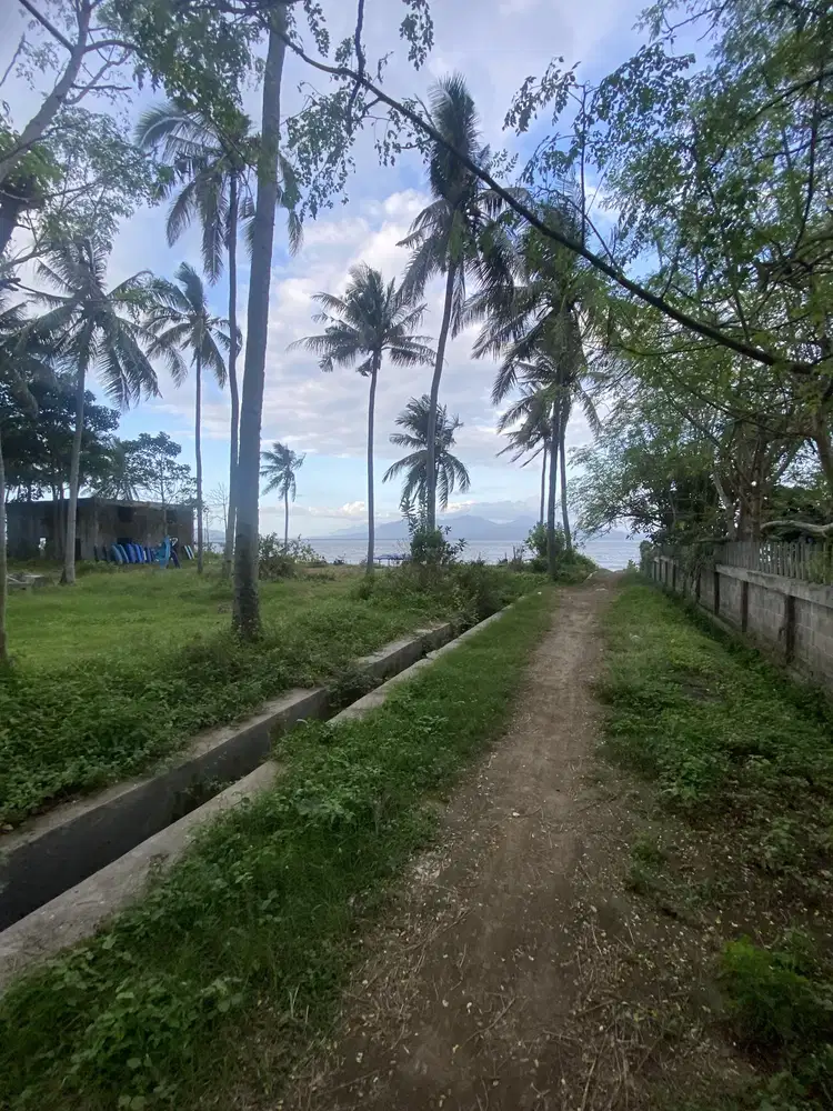Jual tanah klatak kalipuro banyuwangi dekat pantai cacalan