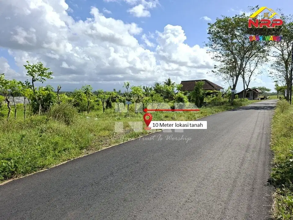 Dijual Tanah Murah di Tepi Jalan Pondoknongko, Kabat - Banyuwangi