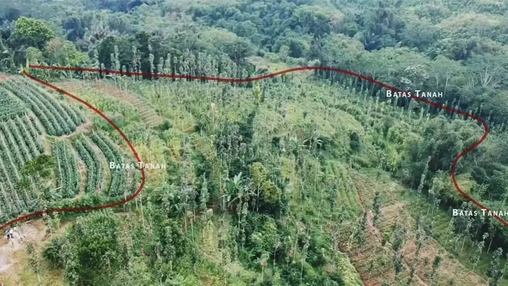 Tanah baturiti tabanan Bali