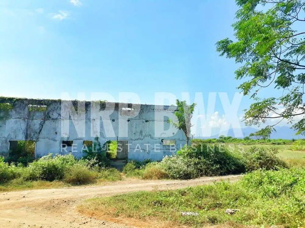 Dijual Tanah Murah Luas 1,8 Ha SHM di Tepi Pantai Sobo - Banyuwangi